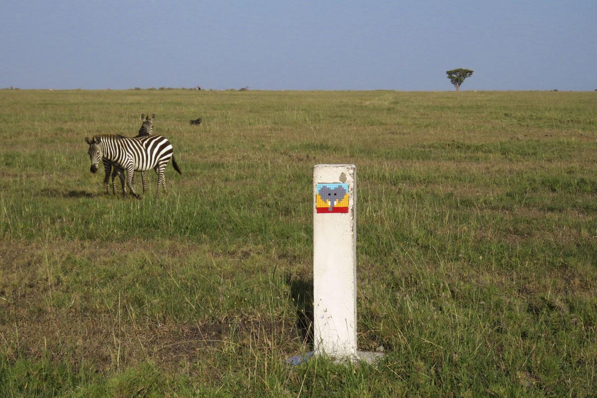 "Space Invader", Serengeti of Tanzania, 2015