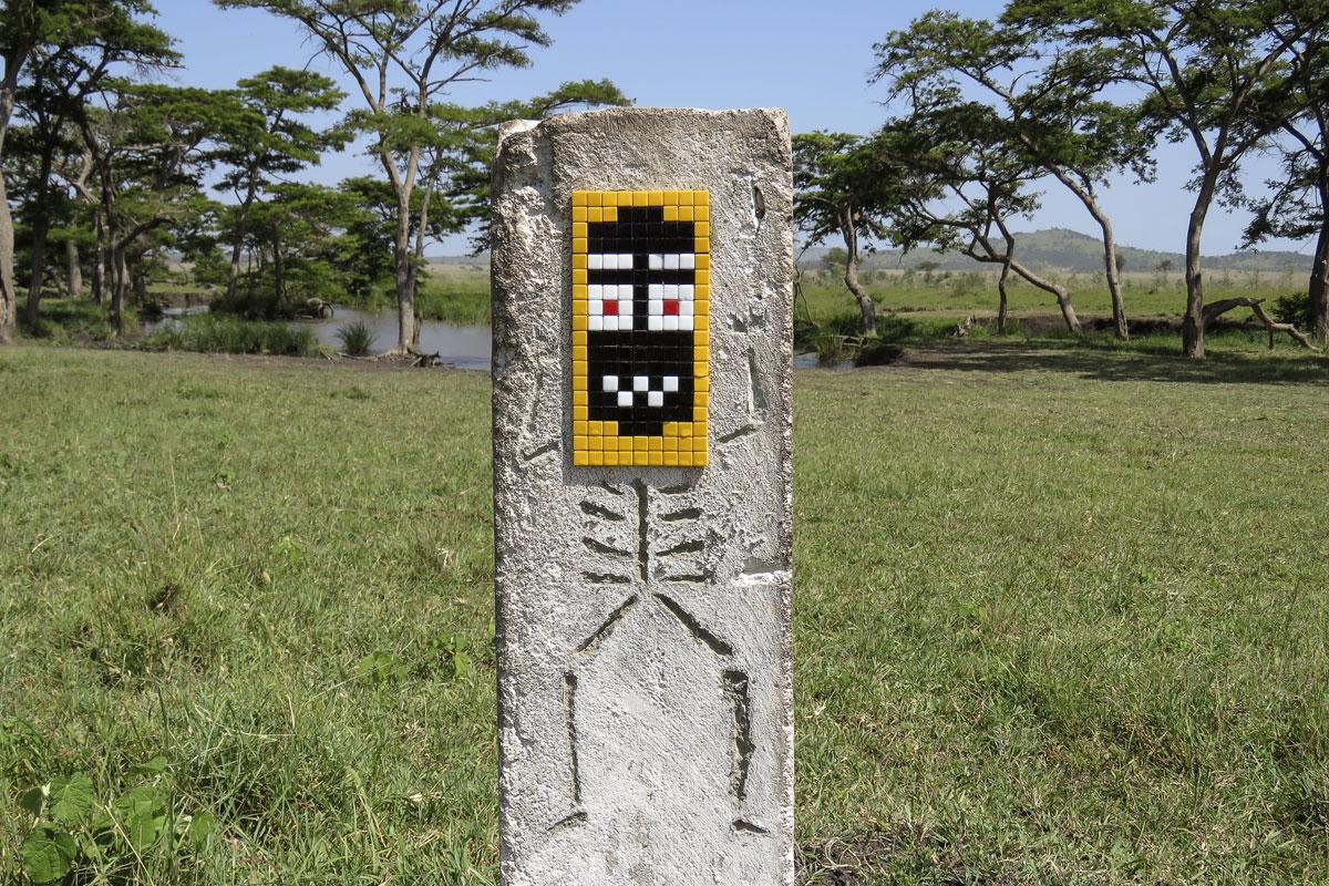 "Space Invader", Serengeti of Tanzania, 2015